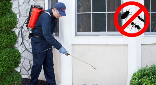 Çamardı Fare İlaçlama böcek ilaçlama ve haşere kontrolü — ilaclama-tr.com